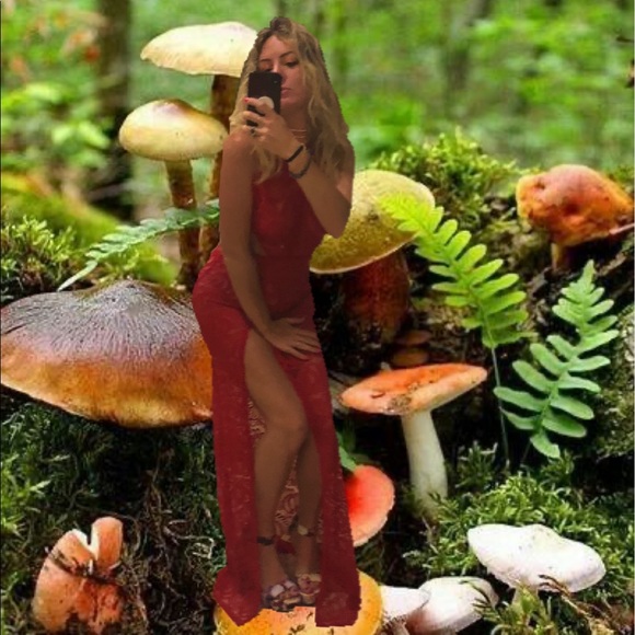 Meet your Posher, Bunny. - Picture 1 of 1